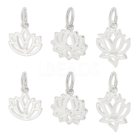 6Pcs 3 Styles 925 Sterling Silver Charms STER-PH0002-86-1