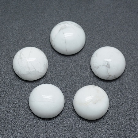 Natural Howlite Cabochons X-G-P393-R32-10mm-1