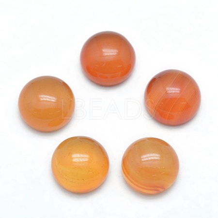 Natural Carnelian Cabochons X-G-P393-R41-10mm-1