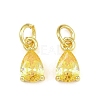 Brass Pave Cubic Zirconia Charms KK-K340-51G-05-1