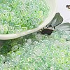 Ceylon Glass Seed Beads SEED-K009-02B-42-1