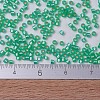 MIYUKI Delica Beads X-SEED-J020-DB0691-4