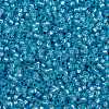 MIYUKI Round Rocailles Beads X-SEED-G009-RR0573-3