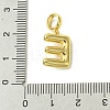 Rack Plating Brass with ABS Plastic Pearl European Dangle Charms KK-G501-02E-G-3
