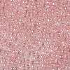 TOHO 8/0 Round Beads SEED-TR08-0289-2