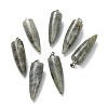 Natural Labradorite Pointed Pendants G-D040-01P-B04-1