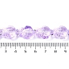 Transparent Glass Enamel Beads Strands GLAA-B021-06B-4