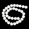 Natural Trochus Shell Beads Strands BSHE-E030-03-3