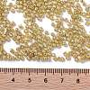 12/0 Glass Seed Beads SEED-A017-2mm-1115-3