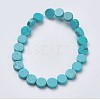 Natural Magnesite Beads Strands TURQ-K003-09B-2