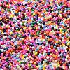 Baking Paint Glass Seed Beads X-SEED-S042-05B-48-3