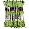 10 Skeins 6-Ply Polyester Embroidery Floss OCOR-CY0004-38K-1