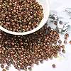 Glass Seed Beads X1-SEED-H002-B-D204-1