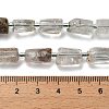 Natural Green Lodolite Quartz/Garden Quartz Beads Strands G-K245-I13-01-5