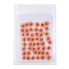 Centaurea Iberica Embossing Dried Flower DIY-K032-65C-1