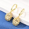 Hollow Oval Brass Clear Cubic Zirconia Leverback Earrings EJEW-H182-04A-G-1