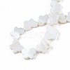 Natural Freshwater Shell Beads Strands SHEL-T009-A17-01-4