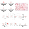 189Pcs 10 Style Transparent Acrylic Beads TACR-PH0001-34-5