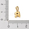 316L Surgical Stainless Steel Charms STAS-G315-01G-R-3