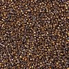 MIYUKI Delica Beads X-SEED-J020-DB0506-3
