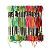 6-Ply Polyester Embroidery Floss OCOR-FZ0001-01C-1