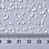 Glass Seed Beads SEED-S042-03B-03-4