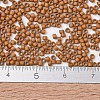 MIYUKI Delica Beads SEED-MY11-DB2287-4
