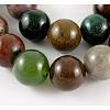 Natural Indian Agate Beads Strands G-G515-12mm-05-1