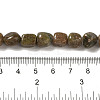 Natural Unakite Beads Strands G-B078-D25-01-5