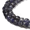 Natural Iolite Beads Strands G-H042-A52-02-4