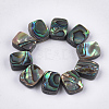 Abalone Shell/Paua Shell Beads X-SSHEL-T008-05-1