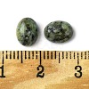 Natural African Turquoise(Jasper) Cabochons G-A094-01B-03-3