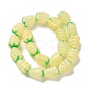 Handmade Lampwork Beads Strands LAMP-G162-05D-1
