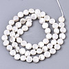 Natural Freshwater Shell Beads Strands X-SHEL-N026-50B-01-2