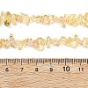 Heated Natural Citrine(Heated) Beads Strands G-K395-C01-01-5