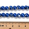 Assembled Synthetic Stone and Trochus Shell Beads Strands G-B128-08B-05-4
