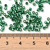 Glass Seed Beads SEED-S042-04B-28-4