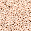 6/0 Glass Seed Beads X1-SEED-L011-08A-24-3