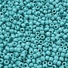 TOHO 6/0 Round Beads SEED-XTR06-0055-3