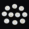Natural Freshwater Shell Beads SHEL-S278-036U-1