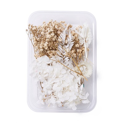 Dried Flowers X-DIY-D052-04-1