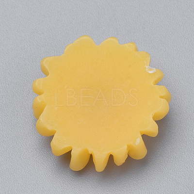 Resin Cabochons CRES-Q197-24-1