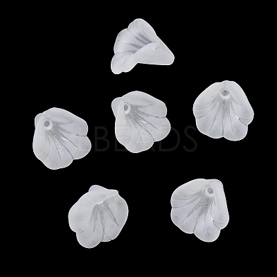 Acrylic Frosted Bead Caps AC-CBA81FF-04A-1