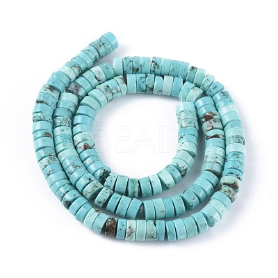 Natural Magnesite Beads Strands TURQ-L030-04B-01-1