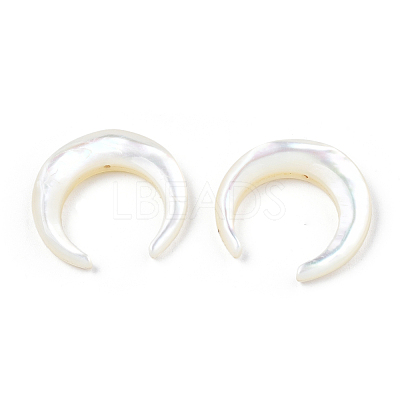 Natural White Shell Beads SSHEL-N034-122A-03-1