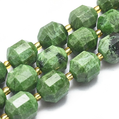 Natural Diopside Beads Strands G-K303-A10-12mm-1