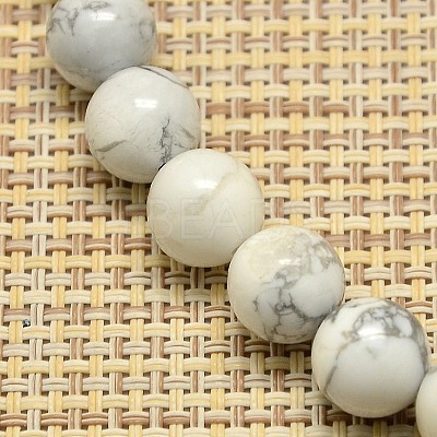 Natural Howlite Beads Strands G-I107-10mm-1