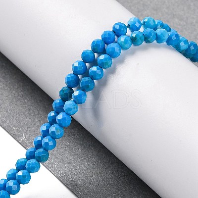Natural Howlite Beads Strands G-C025-02B-10-1