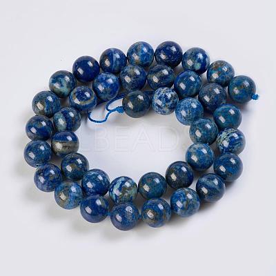Natural Lapis Lazuli Beads Strands G-K254-01-10mm-1
