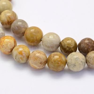 Natural Fossil Coral Beads Strands G-G697-F01-8mm-1
